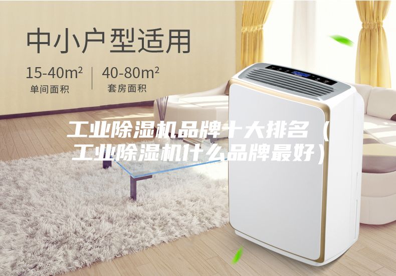 工业除湿机品牌十大排名（工业除湿机什么品牌最好）