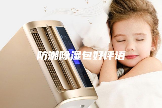 防潮除湿包好评语