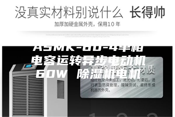 ASMK-60-4单相电容运转异步电动机60W 除湿机电机