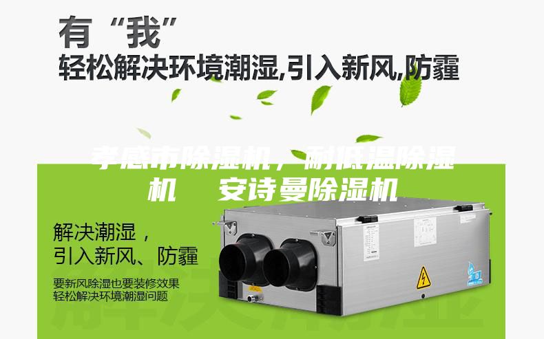 孝感市除湿机，耐低温除湿机  安诗曼除湿机