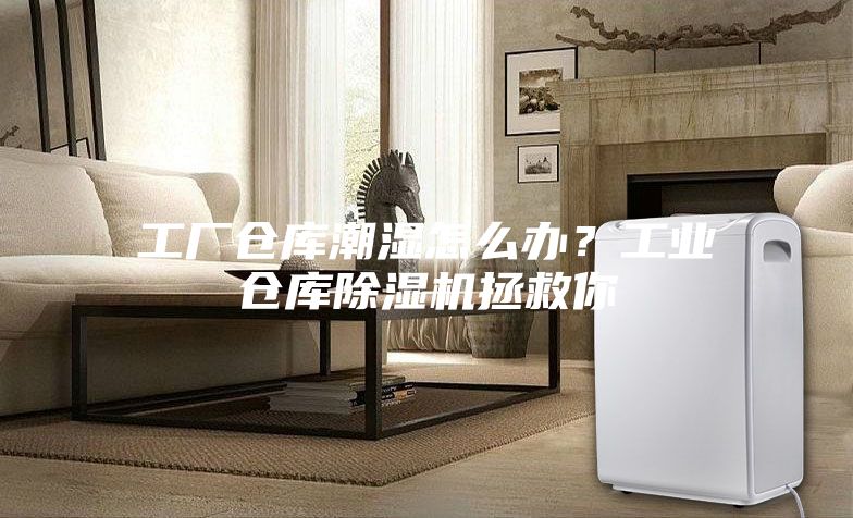 工厂仓库潮湿怎么办？工业仓库除湿机拯救你