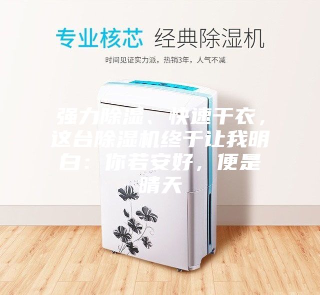 强力除湿、快速干衣，这台除湿机终于让我明白：你若安好，便是晴天