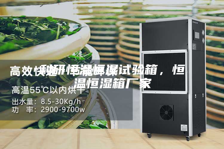 科研恒温恒湿试验箱，恒温恒湿箱厂家