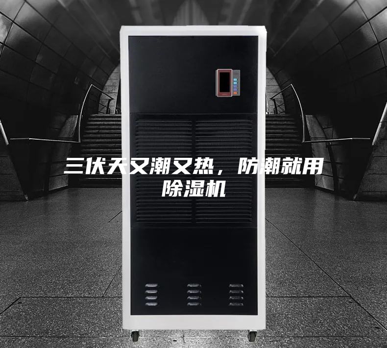 三伏天又潮又热，防潮就用除湿机