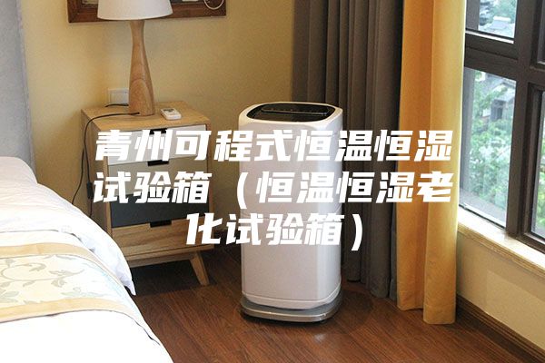 青州可程式恒温恒湿试验箱（恒温恒湿老化试验箱）