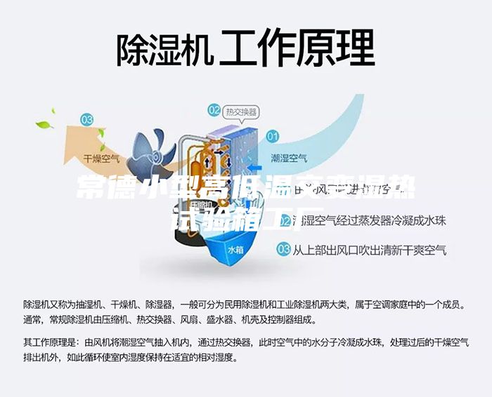 常德小型高低温交变湿热试验箱工厂