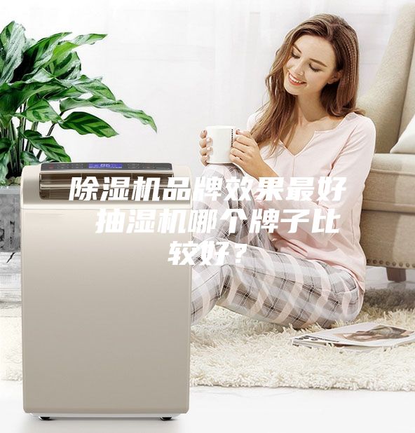 除湿机品牌效果最好 抽湿机哪个牌子比较好？