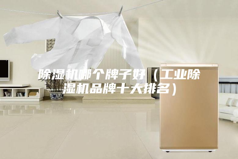 除湿机哪个牌子好(工业除湿机品牌十大排名)