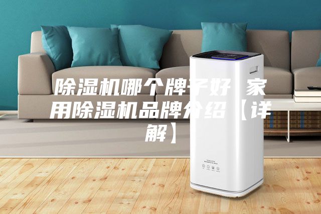 除湿机哪个牌子好 家用除湿机品牌介绍【详解】