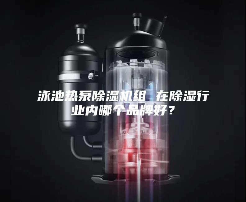 泳池热泵除湿机组 在除湿行业内哪个品牌好？