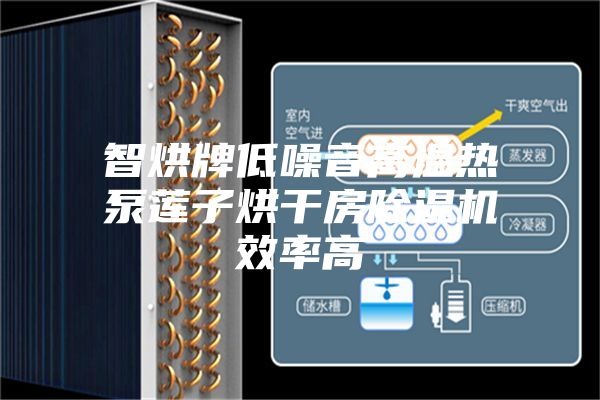 智烘牌低噪音高温热泵莲子烘干房除湿机效率高