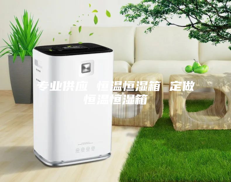 专业供应 恒温恒湿箱 定做恒温恒湿箱