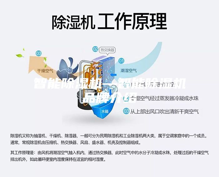 智能除湿机—智能除湿机品牌介绍