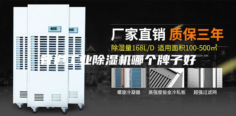 管道工业除湿机哪个牌子好