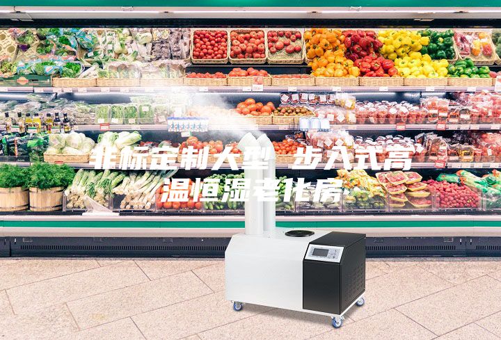 非标定制大型 步入式高温恒湿老化房