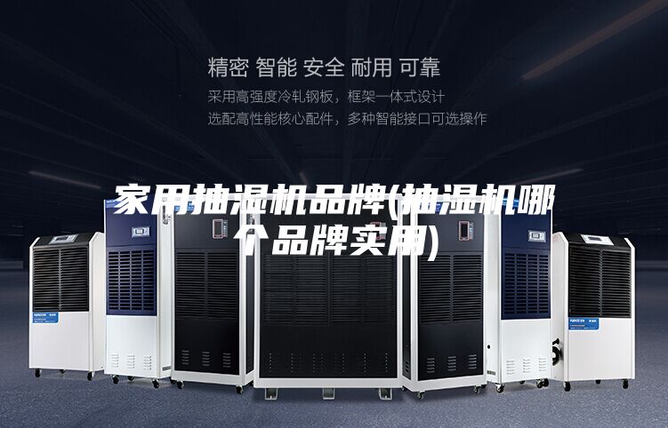 家用抽湿机品牌(抽湿机哪个品牌实用)