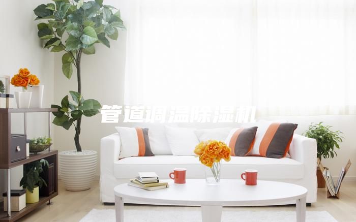 管道调温除湿机
