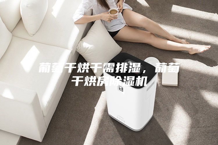 葡萄干烘干需排湿，葡萄干烘房除湿机