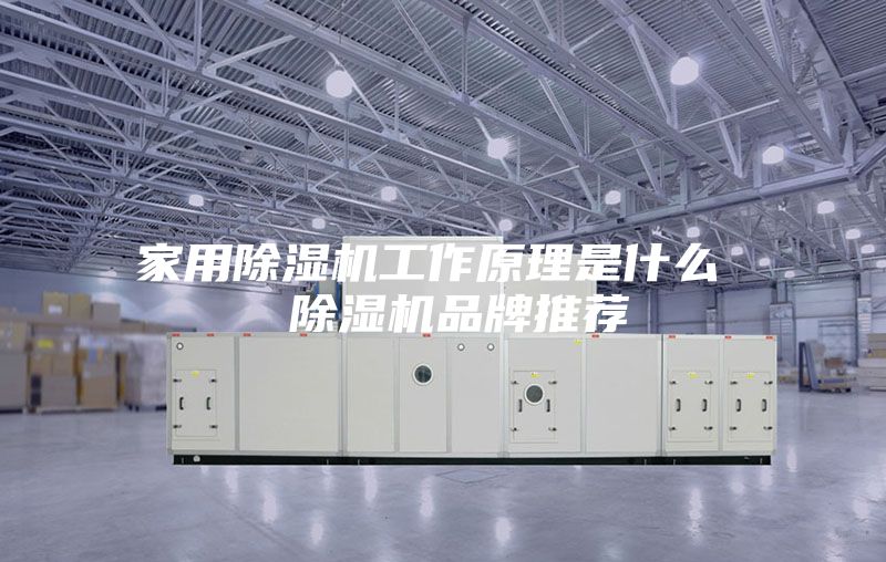 家用除湿机工作原理是什么  除湿机品牌推荐