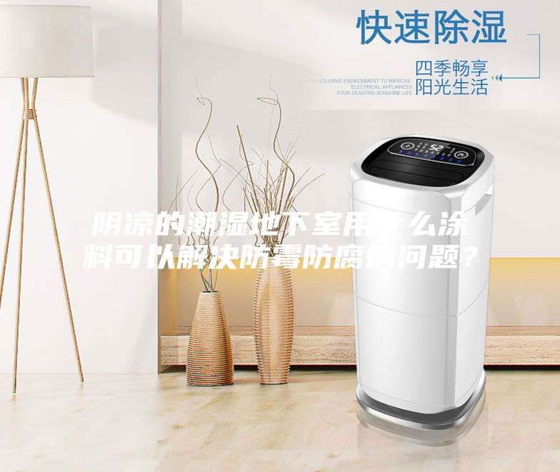 阴凉的潮湿地下室用什么涂料可以解决防霉防腐的问题？