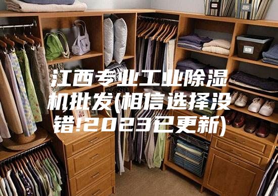 江西专业工业除湿机批发(相信选择没错!2023已更新)