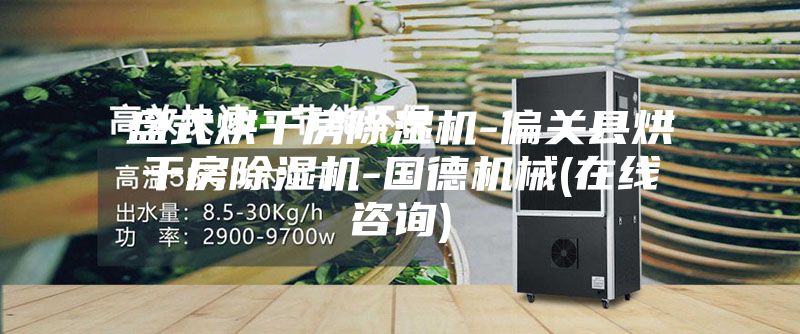 盘式烘干房除湿机-偏关县烘干房除湿机-国德机械(在线咨询)