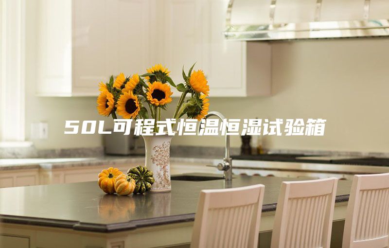 50L可程式恒温恒湿试验箱
