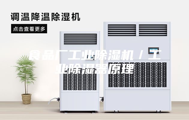 食品厂工业除湿机/工业除湿器原理