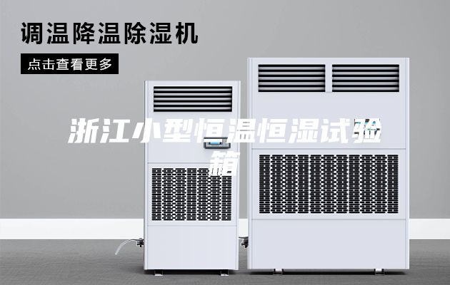浙江小型恒温恒湿试验箱