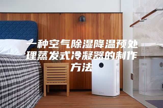 一种空气除湿降温预处理蒸发式冷凝器的制作方法