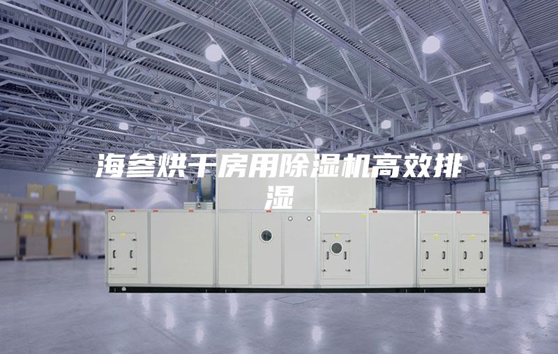 海参烘干房用除湿机高效排湿
