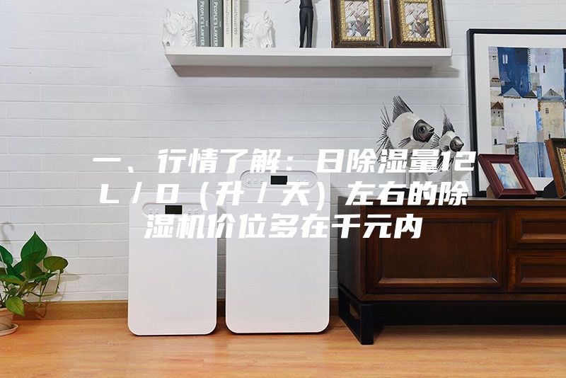 一、行情了解：日除湿量12L／D（升／天）左右的除湿机价位多在千元内