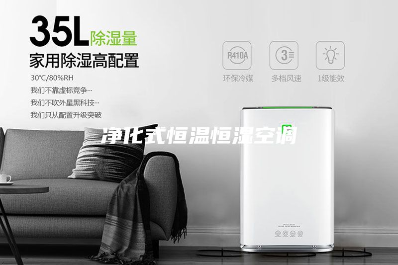 净化式恒温恒湿空调