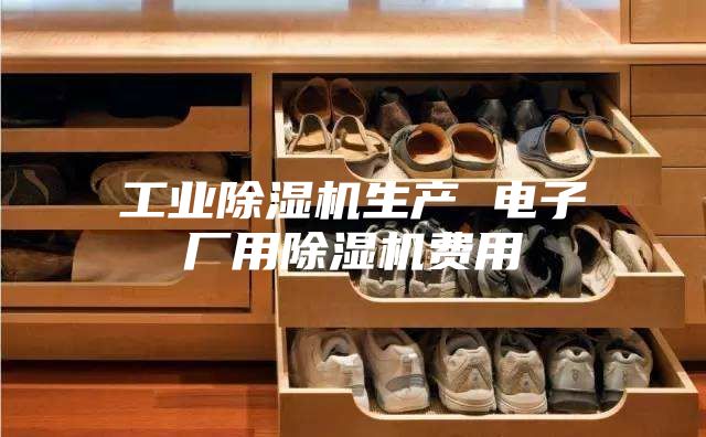 工业除湿机生产 电子厂用除湿机费用