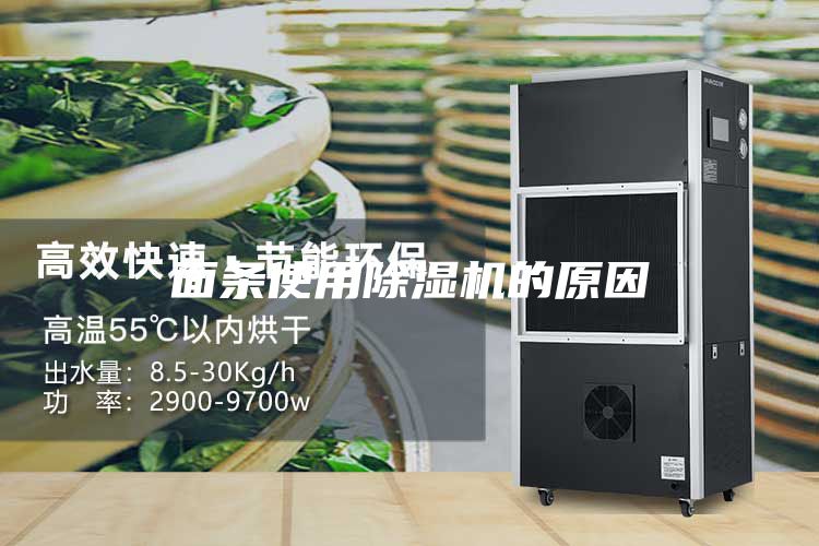 面条使用除湿机的原因