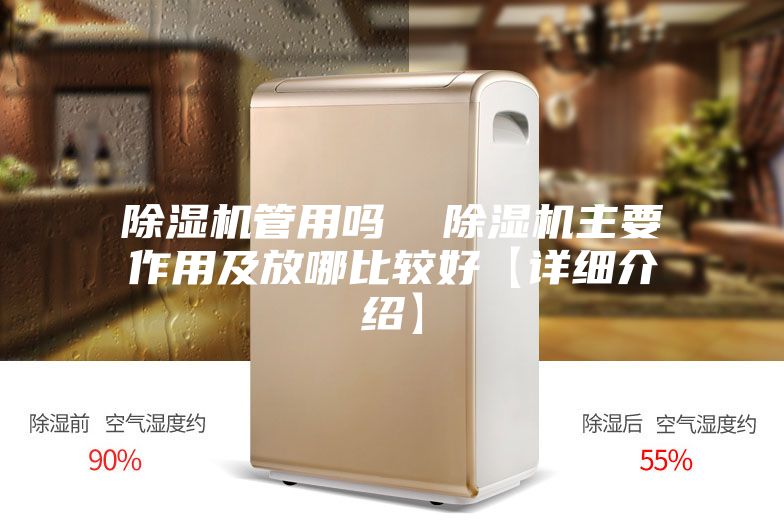 除湿机管用吗  除湿机主要作用及放哪比较好【详细介绍】