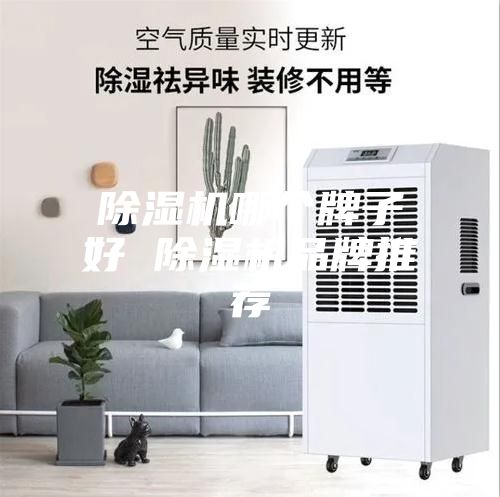 除湿机哪个牌子好 除湿机品牌推荐