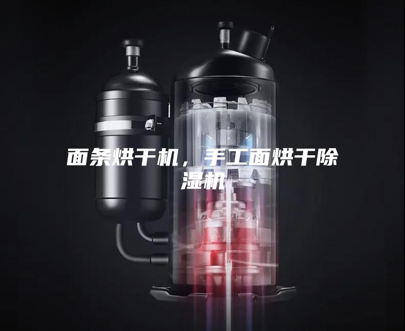 面条烘干机,手工面烘干除湿机