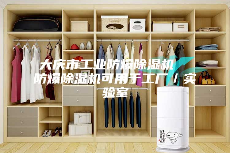 大庆市工业防爆除湿机  防爆除湿机可用于工厂／实验室