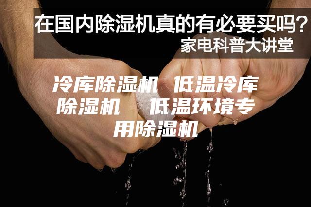 冷库除湿机 低温冷库除湿机  低温环境专用除湿机