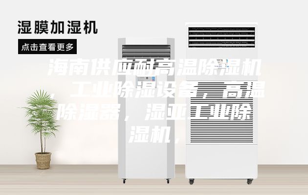 海南供应耐高温除湿机，工业除湿设备，高温除湿器，湿亚工业除湿机，