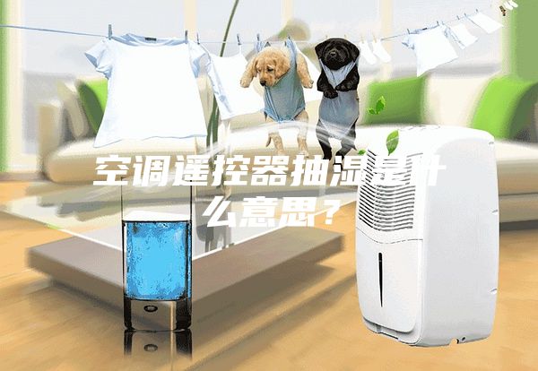 空调遥控器抽湿是什么意思？