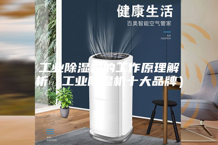 工业除湿机的工作原理解析（工业除湿机十大品牌）