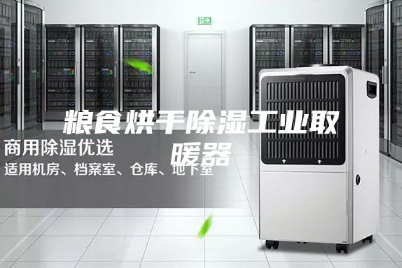 粮食烘干除湿工业取暖器
