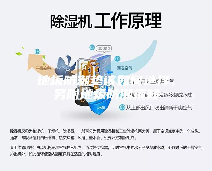 地板防潮垫该如何选择，另附地板防潮须知