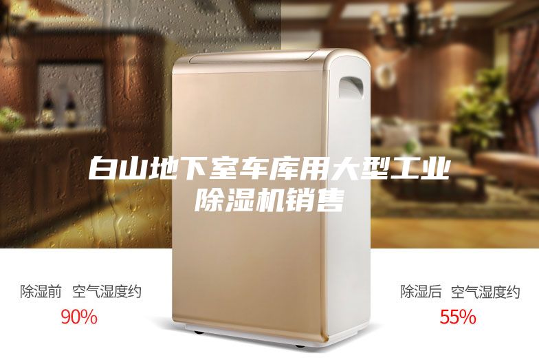 白山地下室车库用大型工业除湿机销售