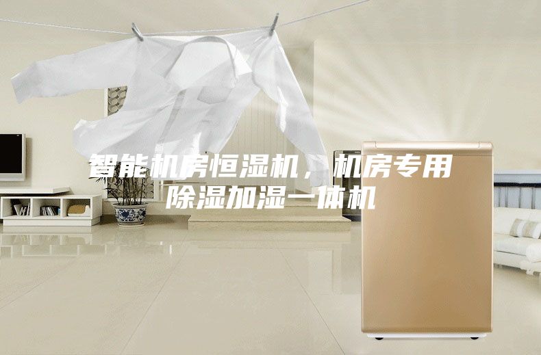 智能机房恒湿机，机房专用除湿加湿一体机