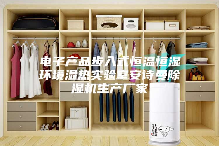 电子产品步入式恒温恒湿环境湿热实验室安诗曼除湿机生产厂家