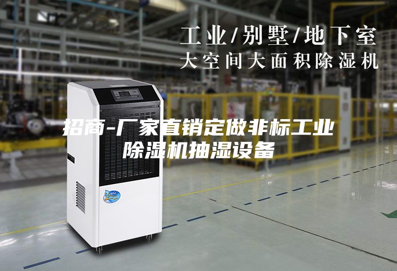 招商-厂家直销定做非标工业除湿机抽湿设备
