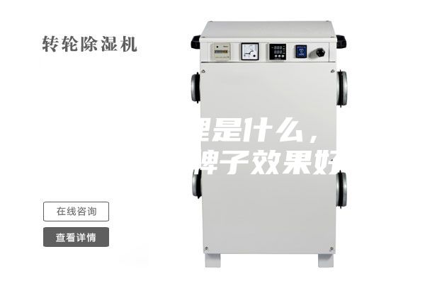 除湿机原理是什么，除湿机那个牌子效果好？